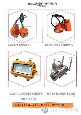 領(lǐng)航未來(lái)，連接世界——XX通訊設(shè)備銷(xiāo)售公司簡(jiǎn)介